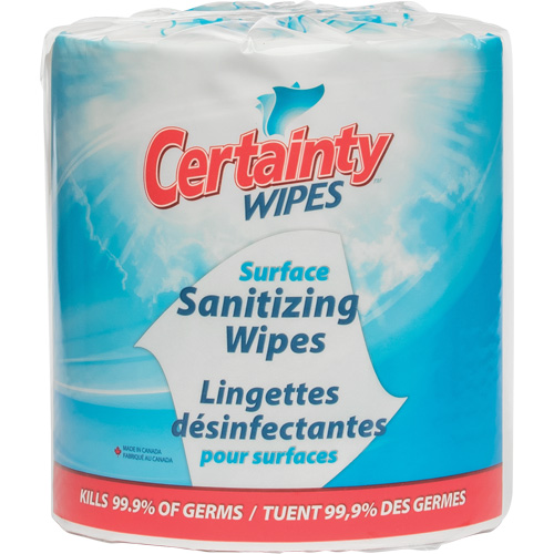 Surface Sanitizing Wipes, Packet FMT Sales Ltd