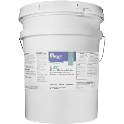 Nettoyant entreteneur polisseur ES37, 18,9 L, Seau FMT Sales Ltd