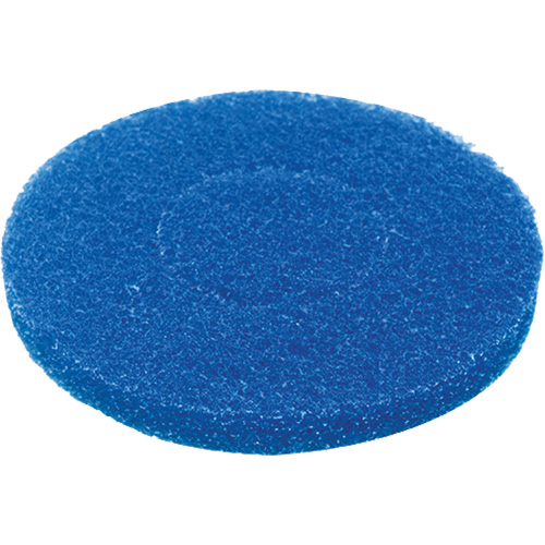 Floor Pad, Cleaning, Blue FMT Sales Ltd