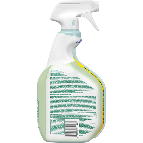Nettoyant d&eacute;sinfectant CloroxPro Clorox EcoClean, 946 ml, Bouteille &agrave; g&acirc;chette FMT Sales Ltd