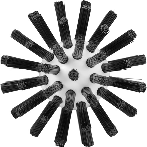 Brosse de nettoyage, Soies Ferme, Longueur de 5-7/10", Noir FMT Sales Ltd