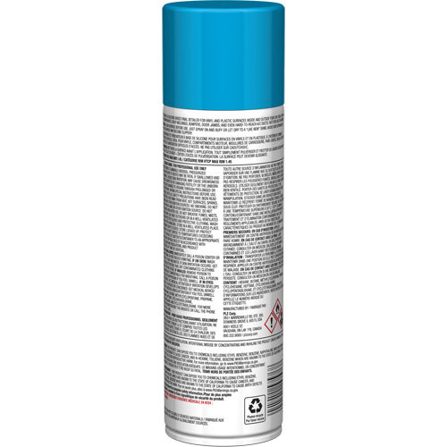 Brillant instantan&eacute; Pro Line pour surfaces en plastique, 11 oz, Canette a&eacute;rosol FMT Sales Ltd