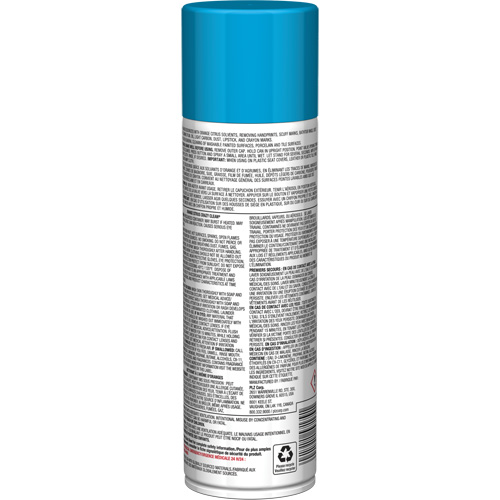 Nettoyant tout usage Pro Line Crazy Clean, 19 oz., Canette a&eacute;rosol FMT Sales Ltd