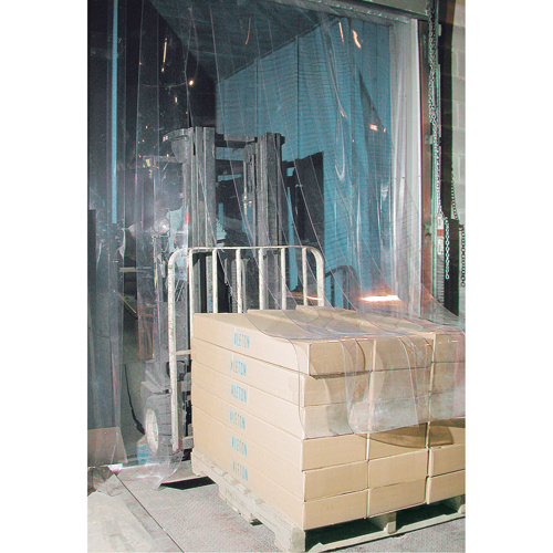 Strip Curtain Doors, 6' x 8' Door Opening, 8" Strip Width, 0.080" Strip Thickness FMT Sales Ltd