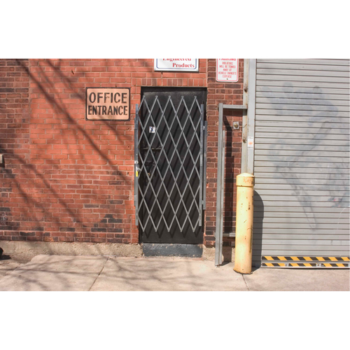 Heavy-Duty Door Gates, Single, 4' L x 6' 6" H Expanded FMT Sales Ltd