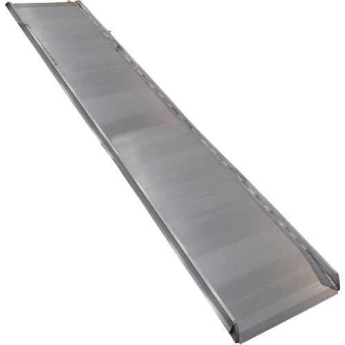 Rampe de promenade en aluminium, Capacit&eacute; de 1000 lb, 38" la x 193-1/8" lo FMT Sales Ltd