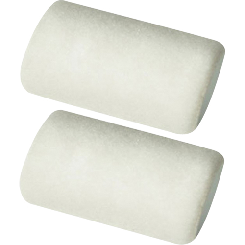 Manchons pour rouleau de calibre professionnel, Nap 9,525 mm (3/8"), 101,6 mm (4") l FMT Sales Ltd
