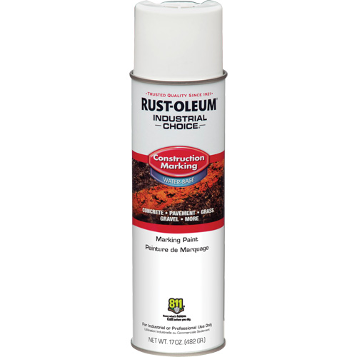 Water Based Marking Paint, 17 oz., Aerosol Can FMT Sales Ltd
