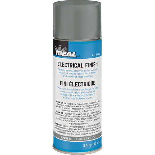 Peinture en a&eacute;rosol, Gris, Brillant, Canette a&eacute;rosol FMT Sales Ltd