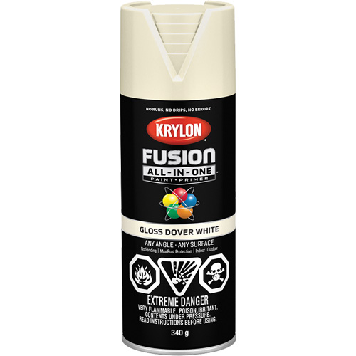 Fusion All-In-One Spray Paint, Dover White, Gloss, 12 oz., Aerosol Can FMT Sales Ltd