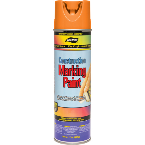 Peinture de marquage de construction, 17 oz, Canette a&eacute;rosol FMT Sales Ltd