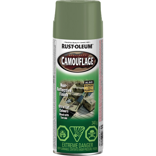 Specialty Camouflage Paint, Aerosol Can, Earth Brown FMT Sales Ltd