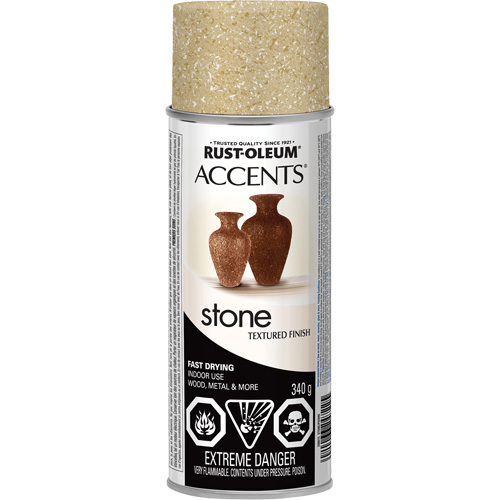 Accents&reg; Stone Creations Spray Paint, Aerosol Can, Bleached Stone FMT Sales Ltd
