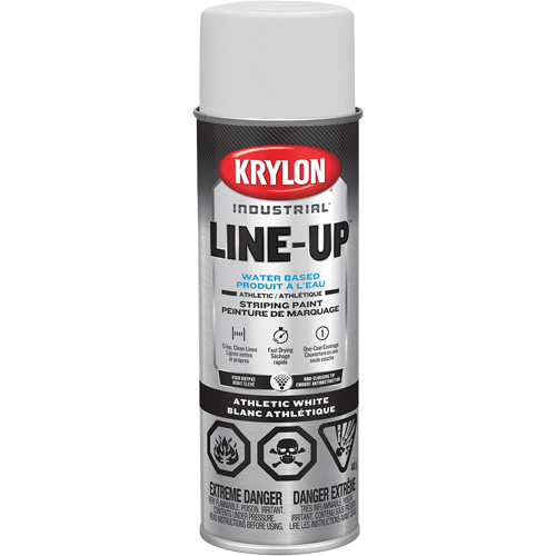 Industrial LINE-UP Athletic Field Striping Aerosol Paint, White, 18 oz., Aerosol Can FMT Sales Ltd