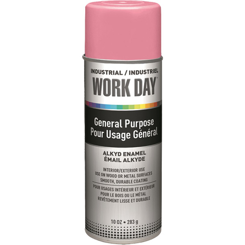 Industrial Work Day Paint, Pink, Gloss, 10 oz., Aerosol Can FMT Sales Ltd