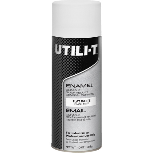 Peinture-&eacute;mail en a&eacute;rosol polyvalent UTILI-T, Blanc, Fini mat profond, 10 oz/283 g, Canette a&eacute;rosol FMT Sales Ltd