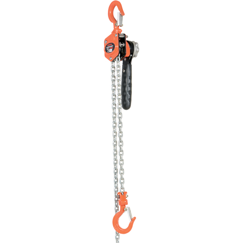 Mini Lever Hoist, 10' Lift, 500 lbs. (0.25 tons) Capacity, Steel Chain FMT Sales Ltd