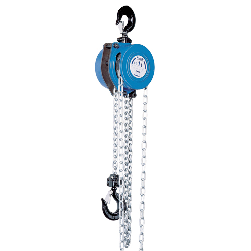 Tralift&reg; Chain Hoist, 10' Lift, 2000 lbs. (1 tons) Capacity, Grade 80 Chain FMT Sales Ltd