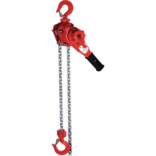 Palan &agrave; levier de s&eacute;rie Super VQ, Lev&eacute;e 5', Cabacit&eacute; 2200 lb (1,1 tonne), Chaîne en Alliage calibre 100 FMT Sales Ltd