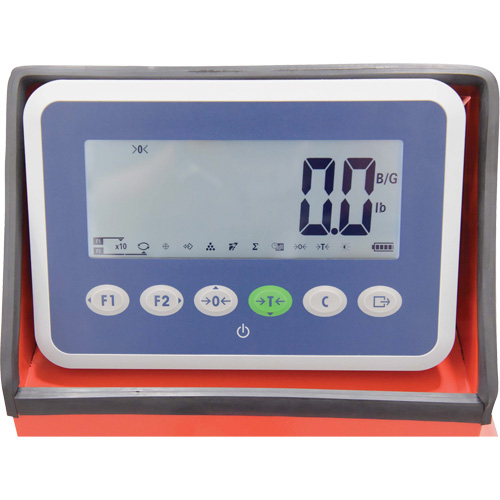 Pallet Truck, 48" L x 27.5" W, 5000 lbs. Cap. FMT Sales Ltd