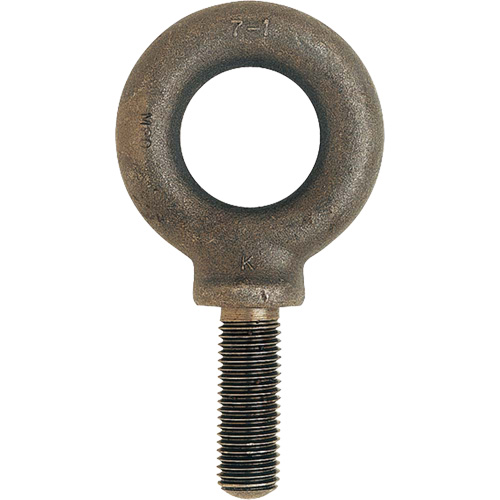 Boulon &agrave; œil m&eacute;trique, 51 mm dia, 70 mm lo, 11 400 lb (5,7 tonnes) capacit&eacute; FMT Sales Ltd