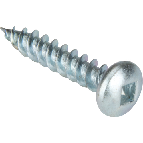Vis taraudeuse &agrave; t&ecirc;te cylindrique, #10 x 1-1/4" lo, Zingu&eacute; FMT Sales Ltd