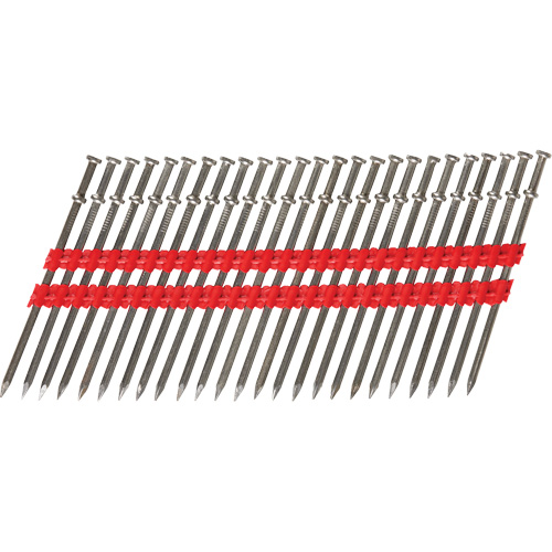 16D Collated Duplex Nails FMT Sales Ltd