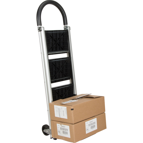 &eacute;chelle-escabeau, 3 marches, 20" x 18" x Hauteur 38-1/2" FMT Sales Ltd