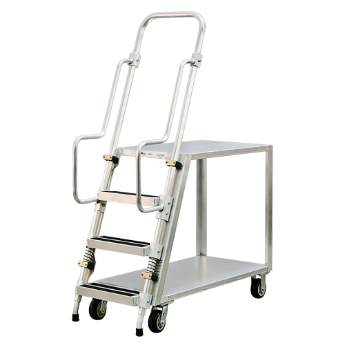 Aluminum Stock Picking Ladder Cart, Aluminum, 22" W x 51-1/2" D, 2 Shelves, 800 lbs. Capacity FMT Sales Ltd