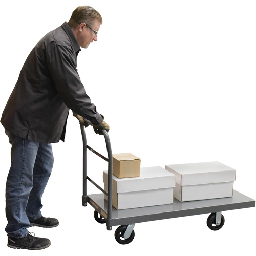 Platform Truck, 48" L x 24" W, 2000 lbs. Capacity, Rubber Casters FMT Sales Ltd