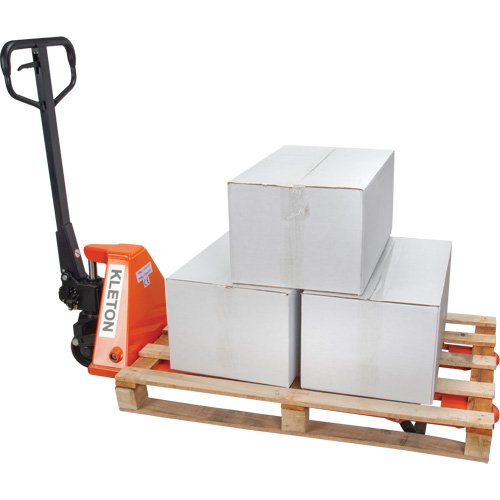 Low Profile Hydraulic Pallet Trucks, 48" L x 20.5" W, 3300 lbs. Cap. FMT Sales Ltd