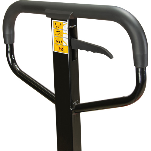 Manual Pallet Truck, Steel, 48" L x 27" W, 5500 lbs. Capacity FMT Sales Ltd