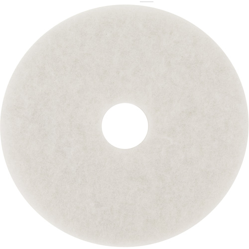 Tampon de polissage pour planchers, 20", Polissage, Blanc FMT Sales Ltd