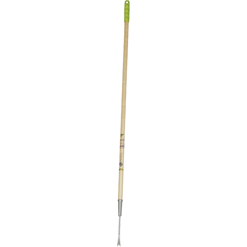 Dandelion Weeder FMT Sales Ltd