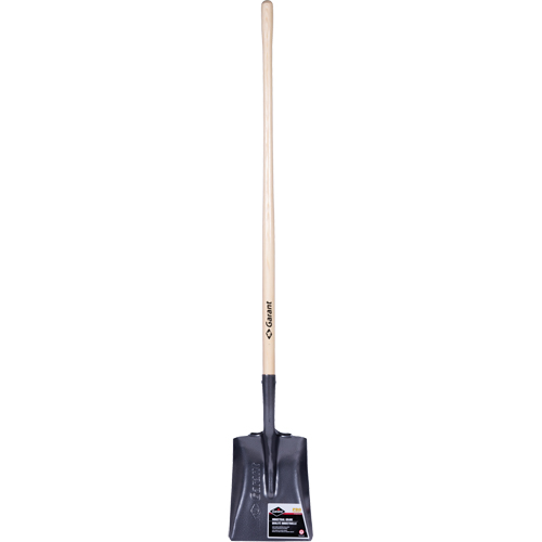 Pelle carr&eacute;e  Pro, Bois, Lame Acier durci, Manche en Droit, Longueur 48" FMT Sales Ltd