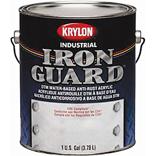 Industrial Iron Guard&reg; Water-Based Enamel, Can, Grey FMT Sales Ltd