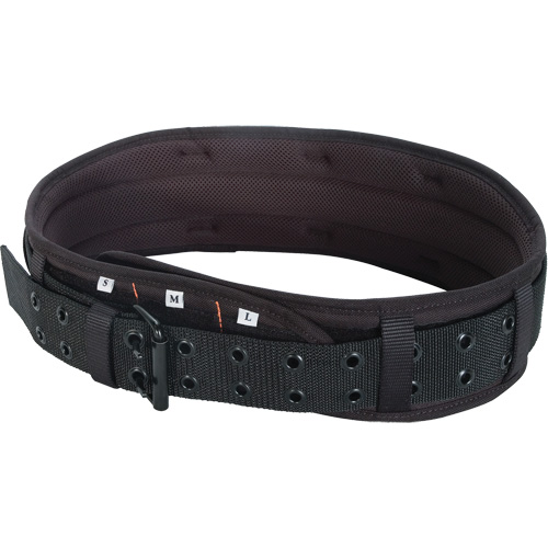 Tool Belt, Leather, Black FMT Sales Ltd