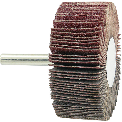 Disque &agrave; lamelles mont&eacute;, Grain 80, 2-1/2" x 1" x 1/4" FMT Sales Ltd