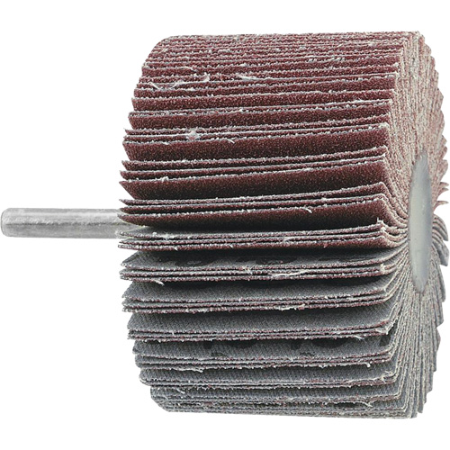 Mounted Flapwheel, 60 Grit, 3" x 1" x 1/4" FMT Sales Ltd