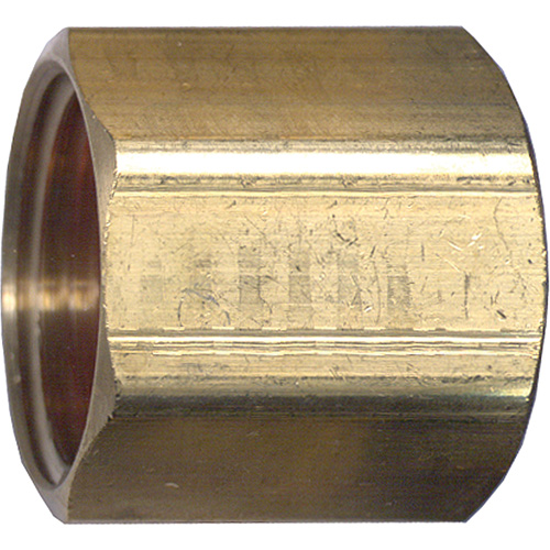 Raccord de tuyau, Laiton, 3/4' FMT Sales Ltd