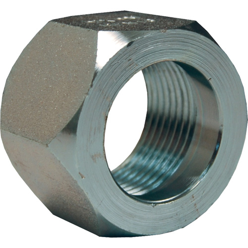 Dixon&reg; Mining Hex Nut, 1", Zinc Plated, NPT Thread FMT Sales Ltd