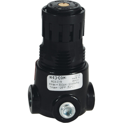Wilkerson Miniature Regulator R03, 1/4" NPT, 300 psi Max. PSI, Standard FMT Sales Ltd