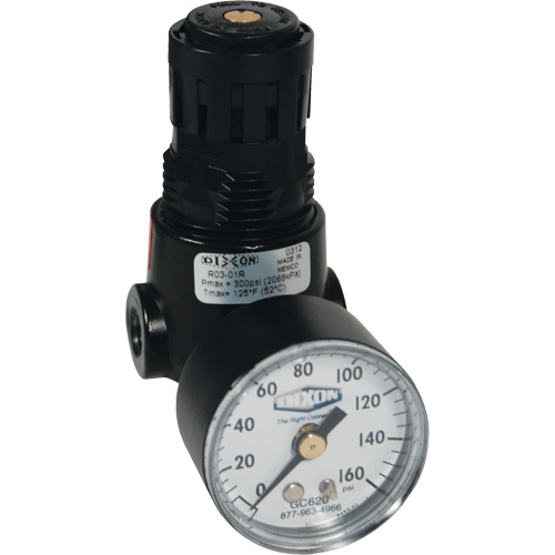 Wilkerson Miniature Regulator R04, 1/4" NPT, 300 psi Max. PSI, Standard FMT Sales Ltd