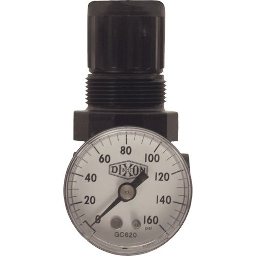 Series 1 Miniature Regulator, 1/8" NPT, 100 psi Max. PSI, Standard FMT Sales Ltd