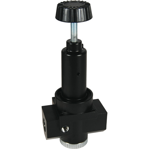 Wilkerson High Flow Regulator R30, 1" NPT, 300 psi Max. PSI, Standard FMT Sales Ltd
