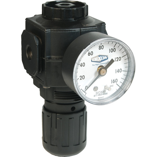 Series 1 Compact Regulator, 1/2" NPT, 150 PSI Max. PSI, Standard FMT Sales Ltd