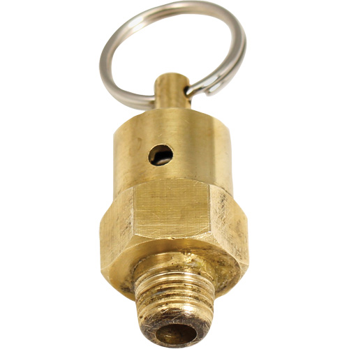 Soupape de rel&acirc;chement de pression Viton FMT Sales Ltd