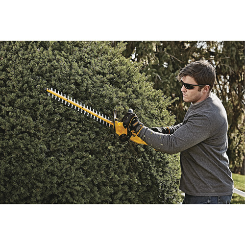 MAX* Hedge Trimmer, 22", 20 V, Battery Powered FMT Sales Ltd