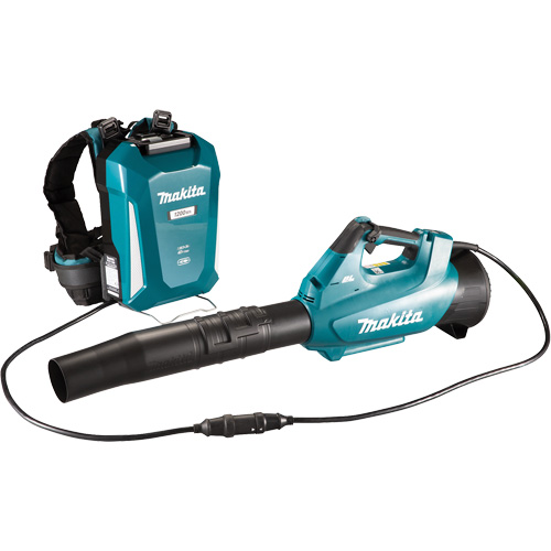 Souffleur turbo LXT (outil seulement), 18 V, Vitesse d'air 157 mi/h, &agrave; pile FMT Sales Ltd