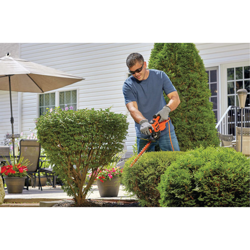 Hedge Trimmer, 17", Electric FMT Sales Ltd